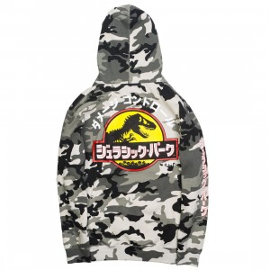 jurassic park japanese hoodie