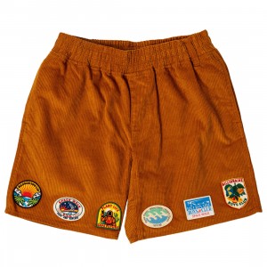 Billionaire Boys Club Men Scavenger Shorts (brown / thai curry)