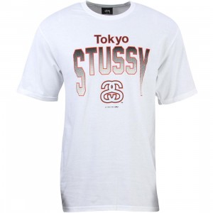 Stussy Men Tokyo Stussy Tee (white)