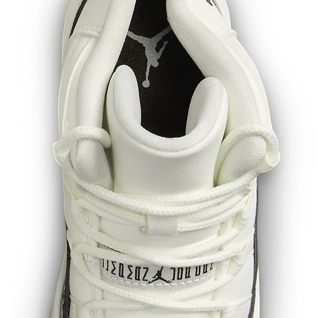 Jordan retro shop 12 velvet
