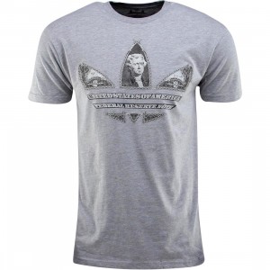 Adidas 2 Dollar NLA Tee (gray / heather gray)