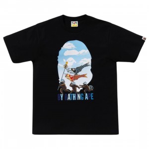 The North Face Men Carp Streamer By Bathing Ape Tee (black)