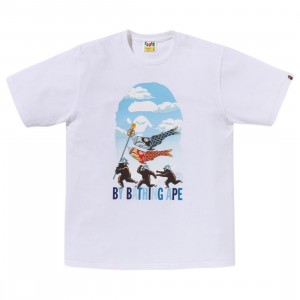 The North Face Men Carp Streamer By Bathing Ape Tee (white)