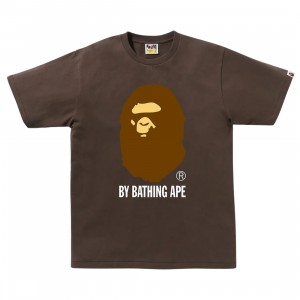 The North Face Men By Bathing Ape Tee (brown)