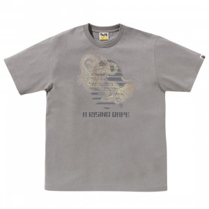 A Bathing Ape Men Tiger And Dragon Ape Head Tee (gray)