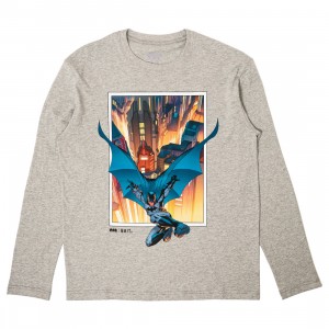 Cheap Cerbe Jordan Outlet x The Flash Men Gotham Batman Long Sleeve Tee (gray)
