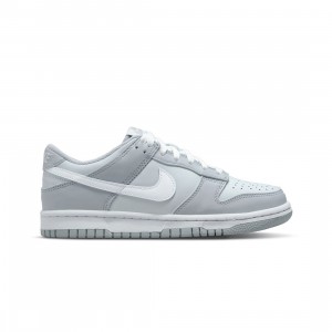 Nike Big Kids Dunk Low (pure platinum / white-wolf grey)