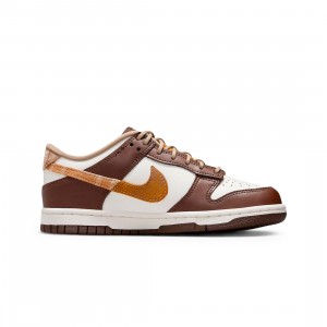 Nike Big Kids Dunk Low (Gs) (sail / multi-color-sail-cacao wow)