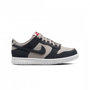 Nike Big Kids Dunk Low Hf (lt iron ore / anthracite-white-gym red)