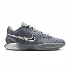 Nike Men Lebron XXI (cool grey / metallic silver-iron grey)