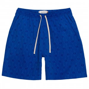 Honor The Gift Men Compton Shorts (blue / pacific blue)