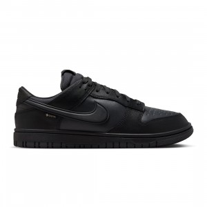 Nike Men Dunk Low Gore-Tex (black / off noir-anthracite)