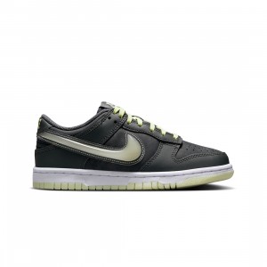 Nike Big Kids Dunk Low Bg (iron grey / cool grey-lime ice-white)