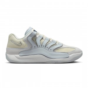 Nike Men Kd18 (pure platinum / wolf grey-summit white)