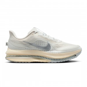 Nike Men Pegasus Premium (platinum tint / reflect silver-grey fog)