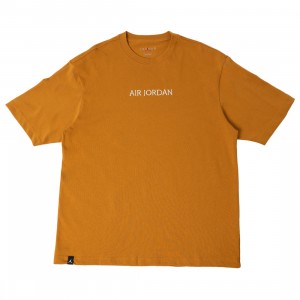 Air Jordan Tee Men (chutney / sail)