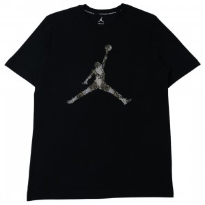Jordan Men Sport Dri-FIT Tee (black / sail)