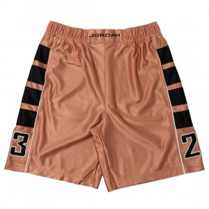 Jordan Men Essentials Cat Scratch Shorts (rust pink / black / white / black)