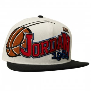Jordan Unisex U J PRO CAP S FB SSNL (white / anthracite / black)