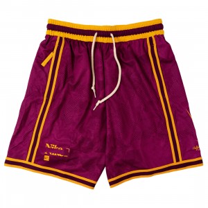 Nike Men Dna+ Shorts (sangria)