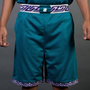 Undefeated Men Authentic Basketball Shorts (teal / green)