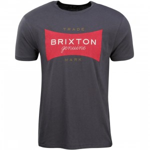 Brixton Men Ramsey Tee (blue / steel)