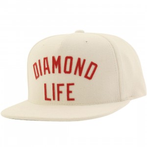 Diamond Supply Co Diamond Arch Snapback Cap (white)
