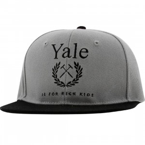 Akomplice Yale Snapback Cap (grey / black)