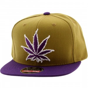 American Needle Experience Washington Legalized Cap (orange / purple)
