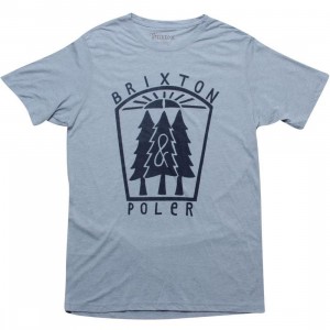Brixton Pine Tee (denim)