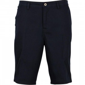 DC Chino 2 Shorts (dark navy)
