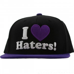 DGK Haters Snapback Cap (black / purple)