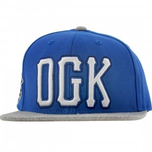 DGK Getters Snapback Cap (royal / grey)