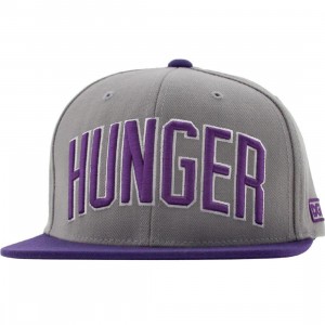 DGK Hunger Snapback Cap (grey / purple)