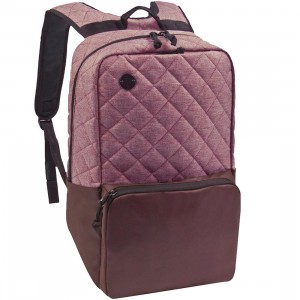 Focused Space The Curriculum Backpack (burgundy)