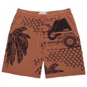 Honor The Gift Men Jungle Shorts (pink / peach)