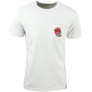 RVCA Men Mouth Tee (gray / slate)