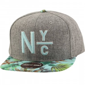 American Needle New York City Divided Night Bright Snapback Cap (gray)
