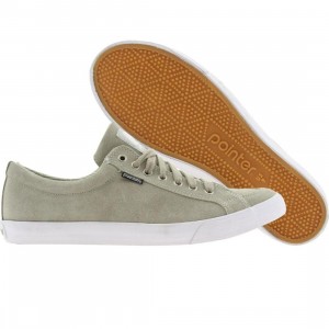 Pointer Seeker IV (fog grey)