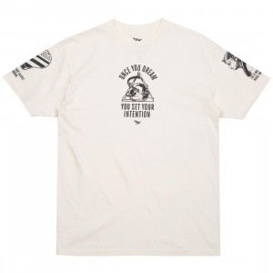 Paper Planes Men Trifecta Tee (brown / sand)