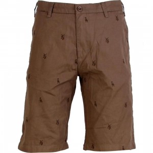 Stussy City Shorts (brown)