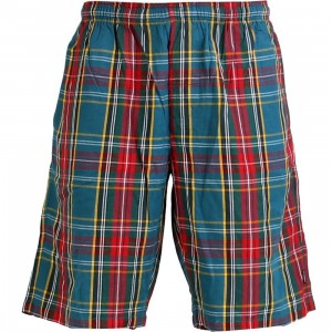 Stussy Stewart Shorts (teal)