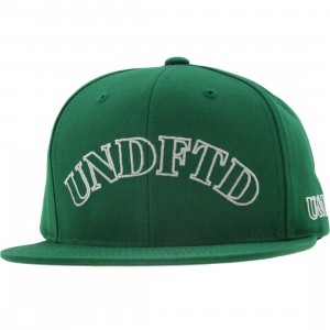 Undefeated U And D Starter Snapback Cap (green)