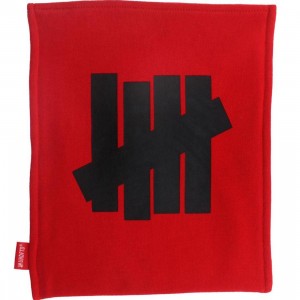 Undefeated iPad Case (red)