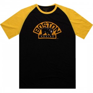 Wright And Ditson Boston Bruins Paratrooper Tee (black / gold)